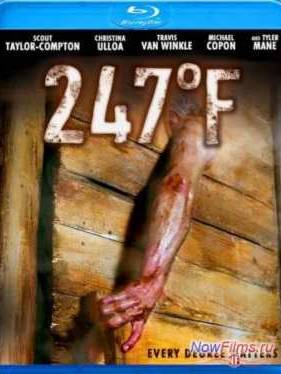 247    (2011)